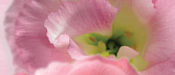 2011�K�u�u�f