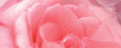 2011�K�u�u�f