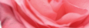 2011�K�u�u�f