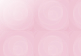 2011�K�u�u�f