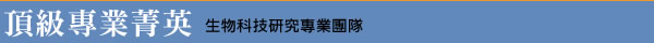 頂級專業精英