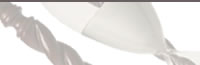 perriconep§d